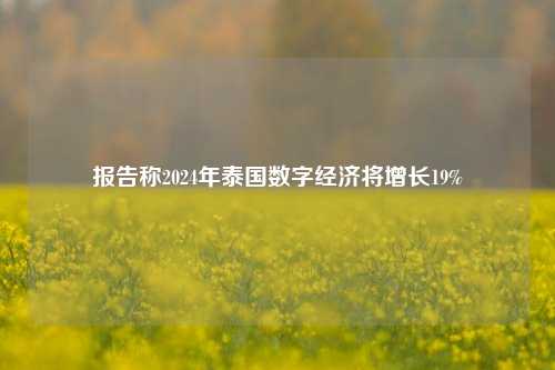 报告称2024年泰国数字经济将增长19%-第1张图片-厦门装修网 