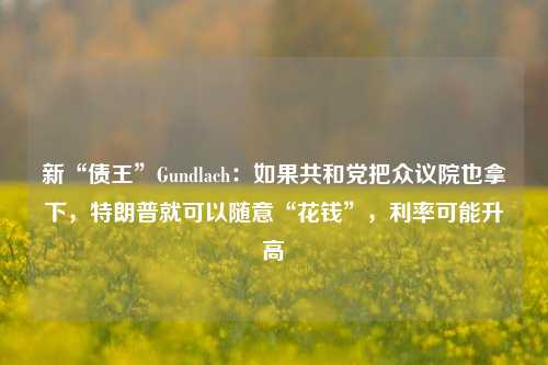 新“债王”Gundlach：如果共和党把众议院也拿下，特朗普就可以随意“花钱”，利率可能升高-第1张图片-厦门装修网 