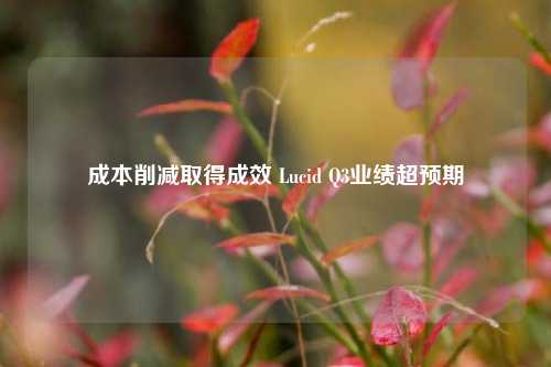 成本削减取得成效 Lucid Q3业绩超预期-第1张图片-厦门装修网 