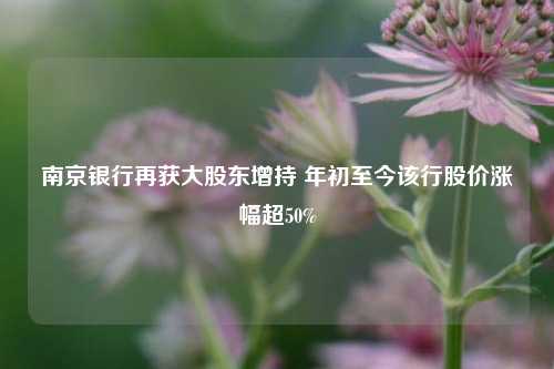 南京银行再获大股东增持 年初至今该行股价涨幅超50%-第1张图片-厦门装修网 