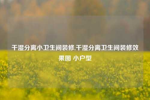 干湿分离小卫生间装修,干湿分离卫生间装修效果图 小户型-第1张图片-厦门装修网 