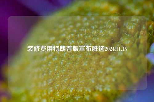 装修费用特朗普版宣布胜选2024.11.15-第1张图片-厦门装修网 