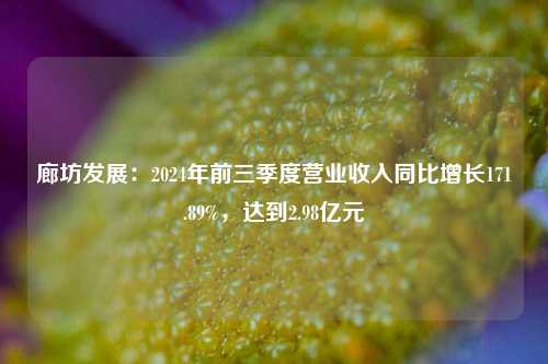 廊坊发展：2024年前三季度营业收入同比增长171.89%，达到2.98亿元-第1张图片-厦门装修网 