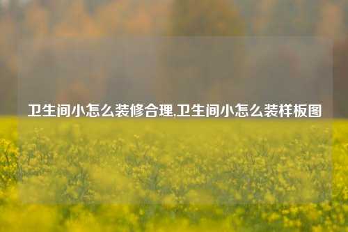 卫生间小怎么装修合理,卫生间小怎么装样板图-第1张图片-厦门装修网 