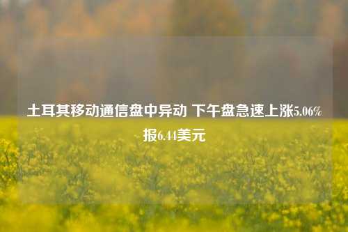 土耳其移动通信盘中异动 下午盘急速上涨5.06%报6.44美元-第1张图片-厦门装修网 