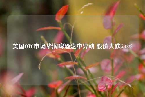 美国OTC市场华润啤酒盘中异动 股价大跌5.48%-第1张图片-厦门装修网 