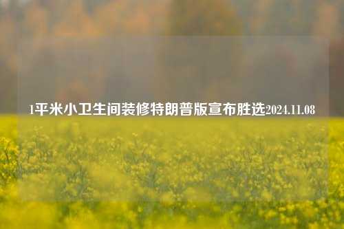 1平米小卫生间装修特朗普版宣布胜选2024.11.08-第1张图片-厦门装修网 