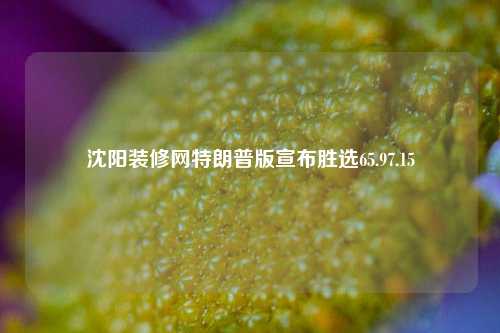 沈阳装修网特朗普版宣布胜选65.97.15-第1张图片-厦门装修网 