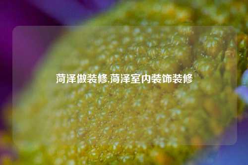 菏泽做装修,菏泽室内装饰装修-第1张图片-厦门装修网 