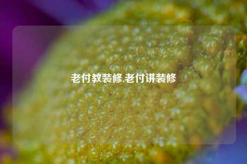 老付教装修,老付讲装修-第1张图片-厦门装修网 