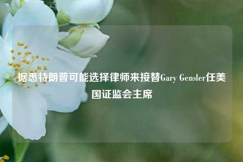 据悉特朗普可能选择律师来接替Gary Gensler任美国证监会主席-第1张图片-厦门装修网 