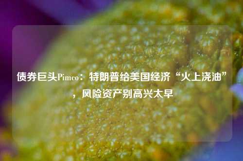 债券巨头Pimco：特朗普给美国经济“火上浇油”，风险资产别高兴太早-第1张图片-厦门装修网 