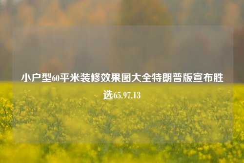 小户型60平米装修效果图大全特朗普版宣布胜选65.97.13-第1张图片-厦门装修网 