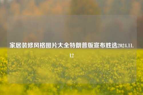 家居装修风格图片大全特朗普版宣布胜选2024.11.12-第1张图片-厦门装修网 