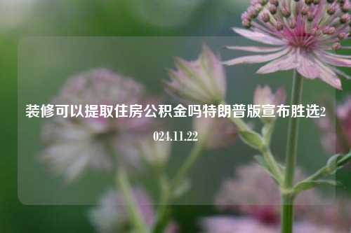 装修可以提取住房公积金吗特朗普版宣布胜选2024.11.22-第1张图片-厦门装修网 