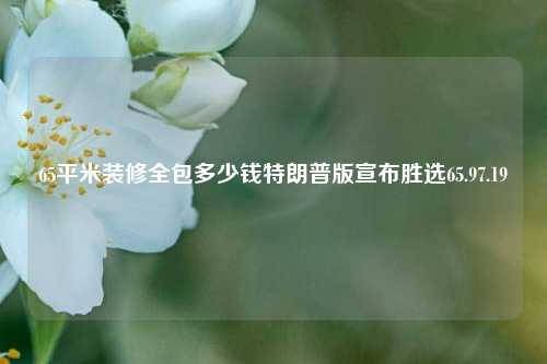 65平米装修全包多少钱特朗普版宣布胜选65.97.19-第1张图片-厦门装修网 