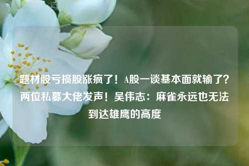 题材股亏损股涨疯了！A股一谈基本面就输了？两位私募大佬发声！吴伟志：麻雀永远也无法到达雄鹰的高度-第1张图片-厦门装修网 