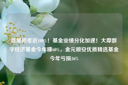 首尾相差近100%！基金业绩分化加速！大摩数字经济基金今年赚60%，金元顺安优质精选基金今年亏损36%-第1张图片-厦门装修网 