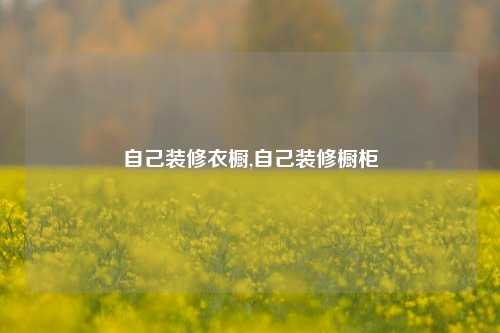 自己装修衣橱,自己装修橱柜-第1张图片-厦门装修网 