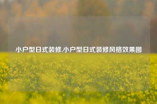 小户型日式装修,小户型日式装修风格效果图-第1张图片-厦门装修网 