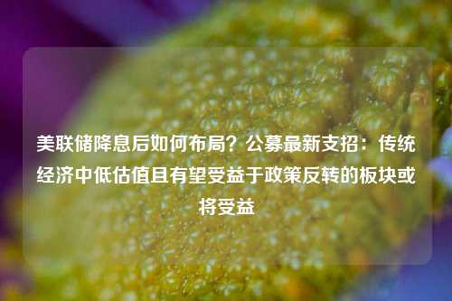 美联储降息后如何布局？公募最新支招：传统经济中低估值且有望受益于政策反转的板块或将受益-第1张图片-厦门装修网 