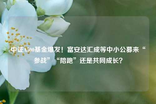 中证A500基金爆发！富安达汇成等中小公募来“参战”“陪跑”还是共同成长？-第1张图片-厦门装修网 