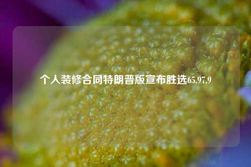 个人装修合同特朗普版宣布胜选65.97.9-第1张图片-厦门装修网 