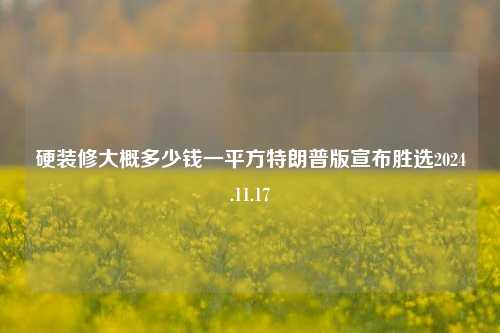 硬装修大概多少钱一平方特朗普版宣布胜选2024.11.17-第1张图片-厦门装修网 