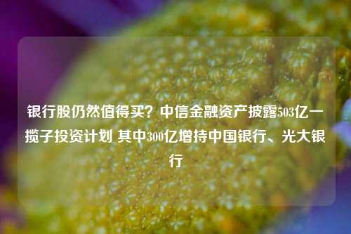 银行股仍然值得买？中信金融资产披露503亿一揽子投资计划 其中300亿增持中国银行、光大银行-第1张图片-厦门装修网 