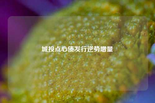 城投点心债发行逆势增量-第1张图片-厦门装修网 