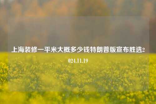 上海装修一平米大概多少钱特朗普版宣布胜选2024.11.19-第1张图片-厦门装修网 