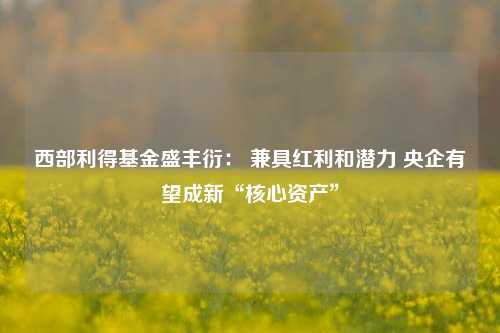 西部利得基金盛丰衍： 兼具红利和潜力 央企有望成新“核心资产”-第1张图片-厦门装修网 