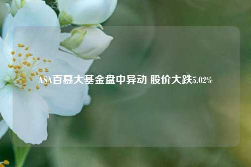 ASA百慕大基金盘中异动 股价大跌5.02%-第1张图片-厦门装修网 