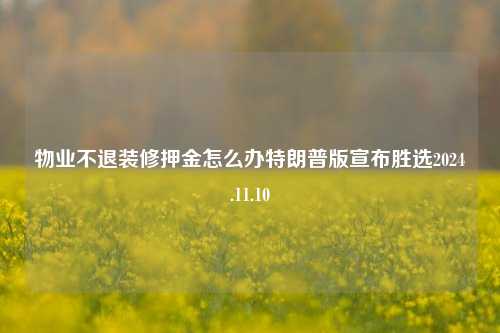 物业不退装修押金怎么办特朗普版宣布胜选2024.11.10-第1张图片-厦门装修网 