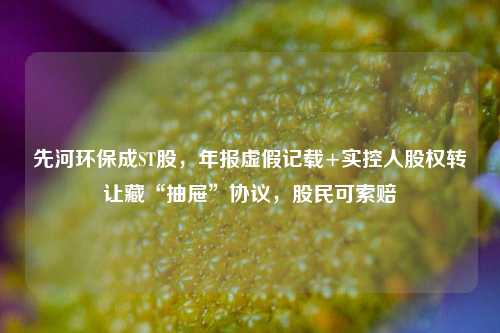 先河环保成ST股，年报虚假记载+实控人股权转让藏“抽屉”协议，股民可索赔-第1张图片-厦门装修网 