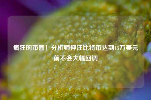 疯狂的币圈！分析师押注比特币达到15万美元前不会大幅回调-第1张图片-厦门装修网 