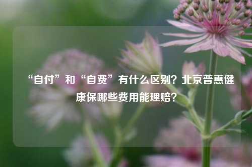 “自付”和“自费”有什么区别？北京普惠健康保哪些费用能理赔？-第1张图片-厦门装修网 