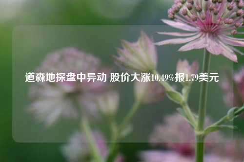 道森地探盘中异动 股价大涨10.49%报1.79美元-第1张图片-厦门装修网 