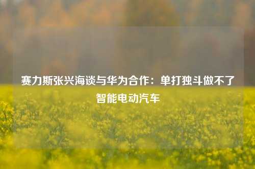 赛力斯张兴海谈与华为合作：单打独斗做不了智能电动汽车-第1张图片-厦门装修网 