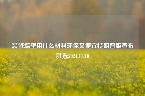 装修墙壁用什么材料环保又便宜特朗普版宣布胜选2024.11.10-第1张图片-厦门装修网 