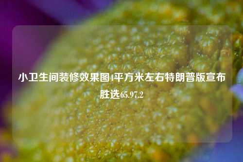 小卫生间装修效果图4平方米左右特朗普版宣布胜选65.97.2-第1张图片-厦门装修网 