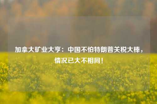 加拿大矿业大亨：中国不怕特朗普关税大棒，情况已大不相同！-第1张图片-厦门装修网 