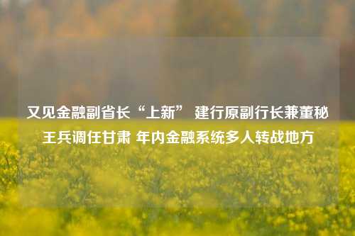 又见金融副省长“上新” 建行原副行长兼董秘王兵调任甘肃 年内金融系统多人转战地方-第1张图片-厦门装修网 