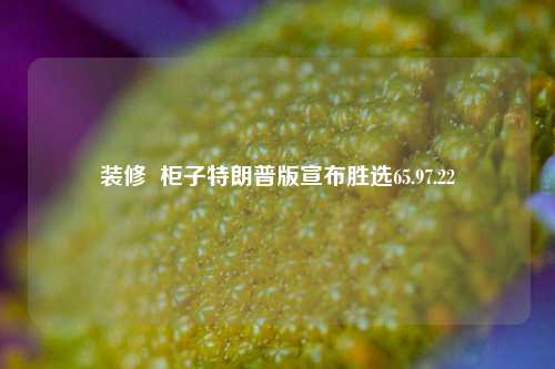 装修  柜子特朗普版宣布胜选65.97.22-第1张图片-厦门装修网 