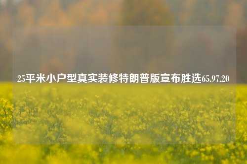 25平米小户型真实装修特朗普版宣布胜选65.97.20-第1张图片-厦门装修网 