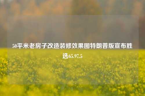 50平米老房子改造装修效果图特朗普版宣布胜选65.97.5-第1张图片-厦门装修网 