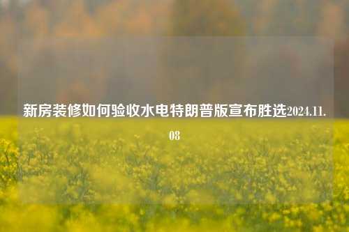 新房装修如何验收水电特朗普版宣布胜选2024.11.08-第1张图片-厦门装修网 