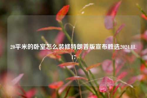 20平米的卧室怎么装修特朗普版宣布胜选2024.11.17-第1张图片-厦门装修网 