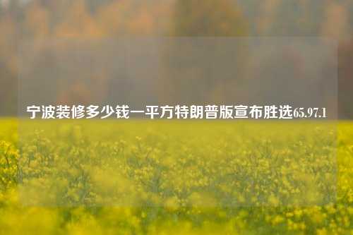 宁波装修多少钱一平方特朗普版宣布胜选65.97.1-第1张图片-厦门装修网 