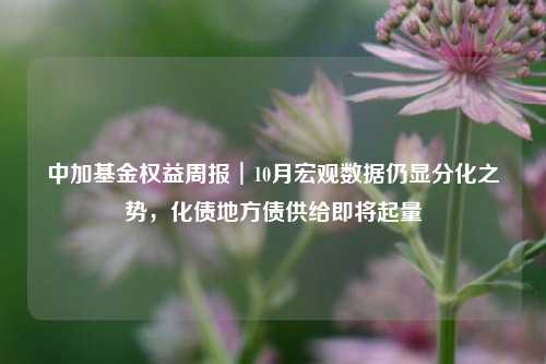 中加基金权益周报︱10月宏观数据仍显分化之势，化债地方债供给即将起量-第1张图片-厦门装修网 